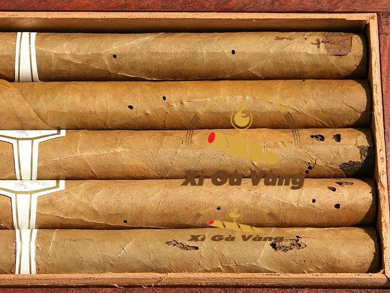 Không dùng thuốc diệt công trùng để xử lý xì gà bị mọt